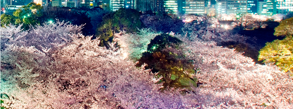 圖片來源：FB@舞鶴公園