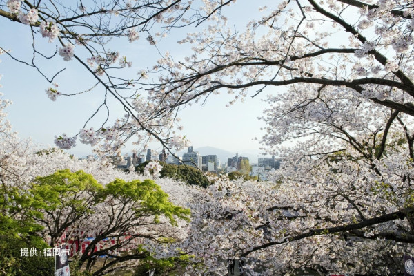 圖片來源：VISIT FUKUOKA
