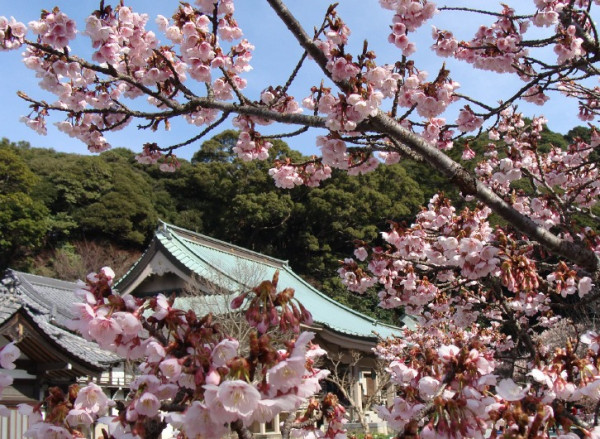 圖片來源：鎮國寺
