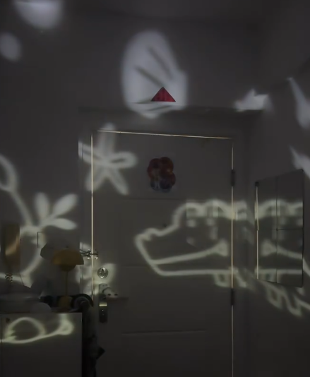 海洋公園紀念品驚現「逆天神作」！超靚動物投射燈掀瘋搶 網民讚：終於放低偶包