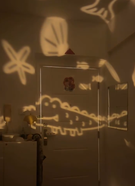 海洋公園紀念品驚現「逆天神作」！超靚動物投射燈掀瘋搶 網民讚：終於放低偶包