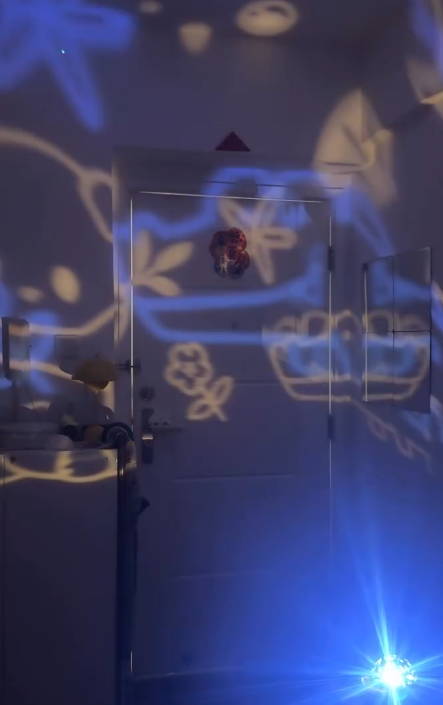 海洋公園紀念品驚現「逆天神作」！超靚動物投射燈掀瘋搶 網民讚：終於放低偶包