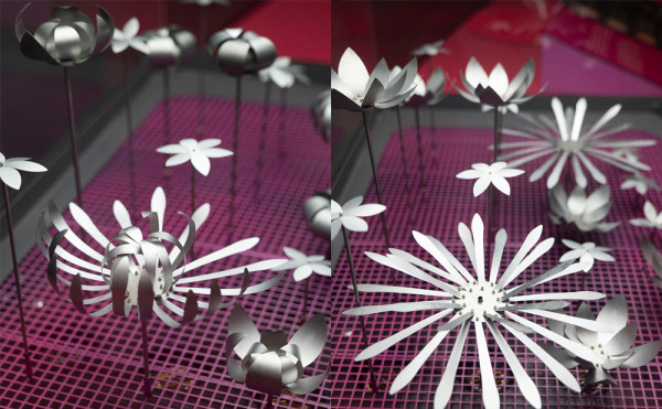 【邊玩邊學】科學館有新意！動手訓練AI 揭開量子糾纏秘密 率先試玩5大展區