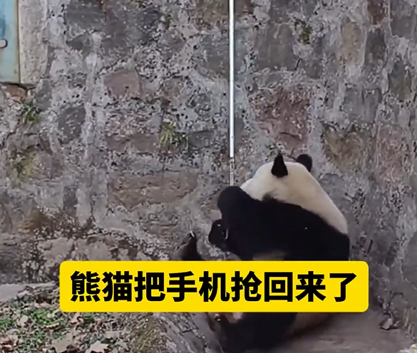 圖片來源：微博 @齊魯晚報