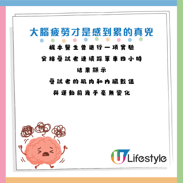 圖片資料來源：《HALMEK up》