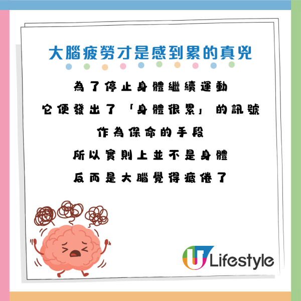 圖片資料來源：《HALMEK up》