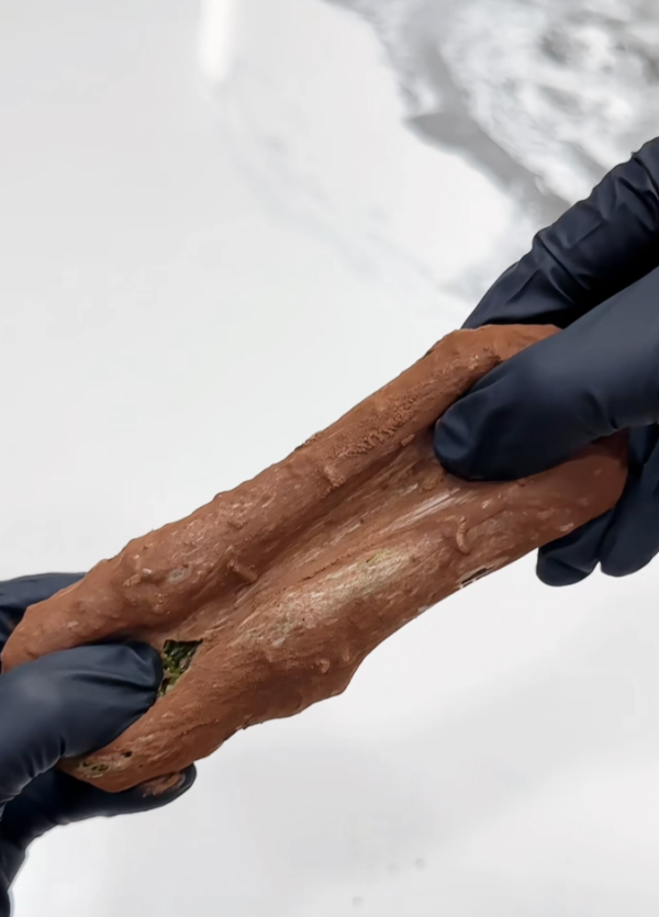 照片來源：小紅書@EvaSweet好好吃