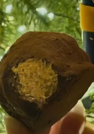 照片來源：小紅書@Jieun|知恩