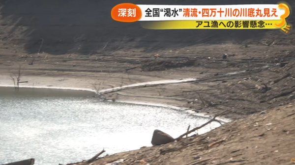 照片來源：YouTube@サン!シャイン公式ch.