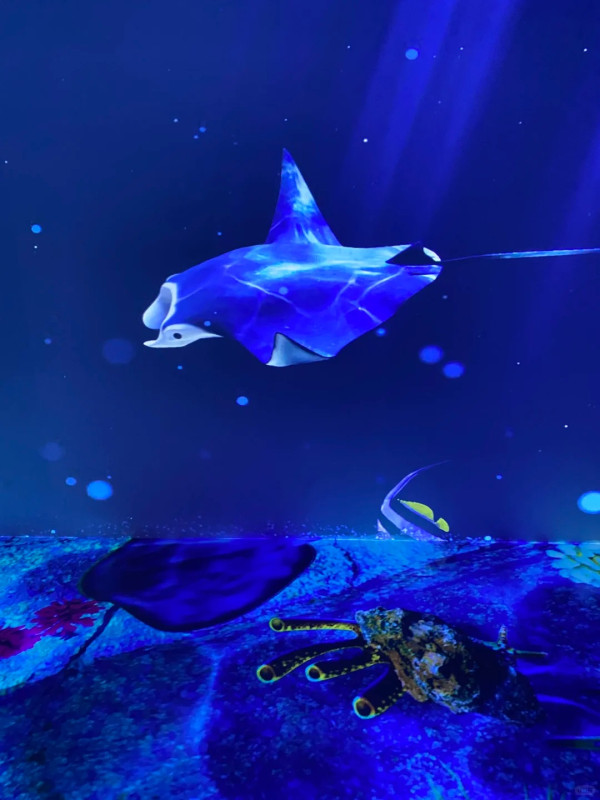 【深圳親子遊2026】深圳觀瀾湖2日1夜行程推介🌸櫻花節開幕/卡丁車/冰雪世界 