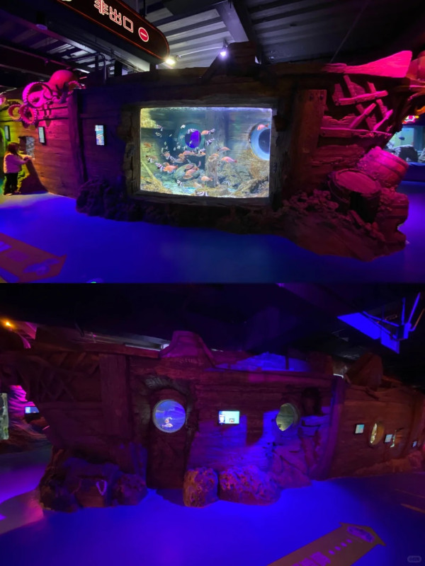 【深圳親子遊2026】深圳觀瀾湖2日1夜行程推介🌸櫻花節開幕/卡丁車/冰雪世界 