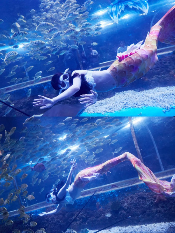 【深圳親子遊2026】深圳觀瀾湖2日1夜行程推介🌸櫻花節開幕/卡丁車/冰雪世界 