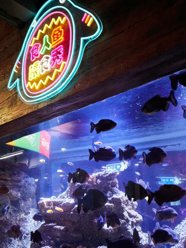 【深圳親子遊2026】深圳觀瀾湖2日1夜行程推介🌸櫻花節開幕/卡丁車/冰雪世界 