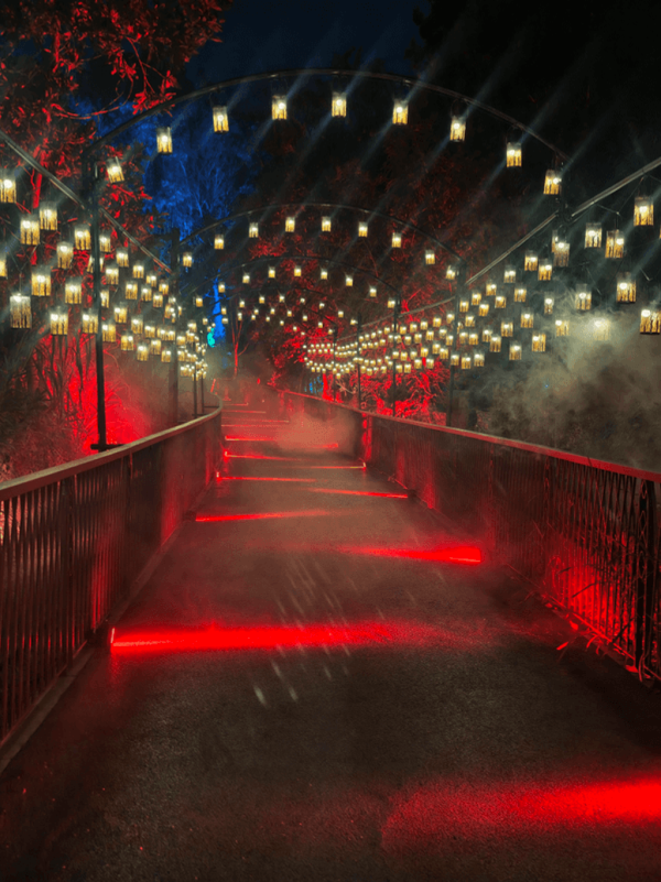 【深圳親子遊2026】深圳觀瀾湖2日1夜行程推介🌸櫻花節開幕/卡丁車/冰雪世界 