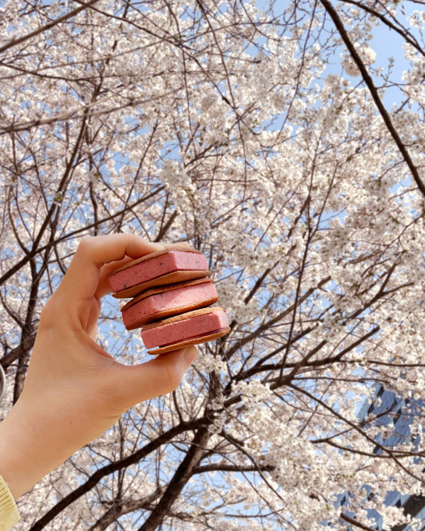 【韓國手信2026】 首爾必買8大零食手信推介!原顆水果糯米滋/爆紅奶油餅乾