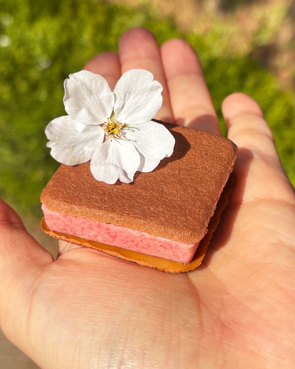 【韓國手信2026】 首爾必買8大零食手信推介!原顆水果糯米滋/爆紅奶油餅乾