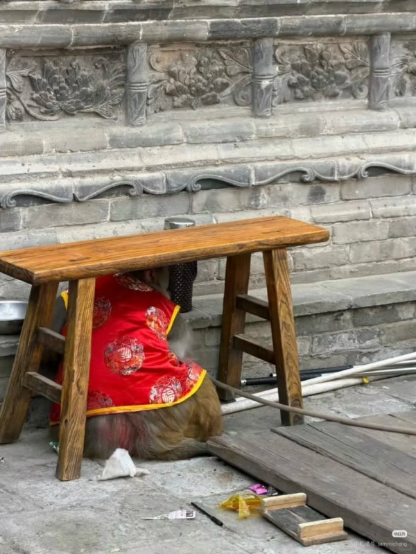 來源:極小紅書 來源:小紅書