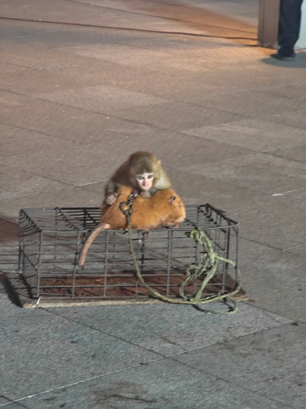 來源:極小紅書 來源:小紅書