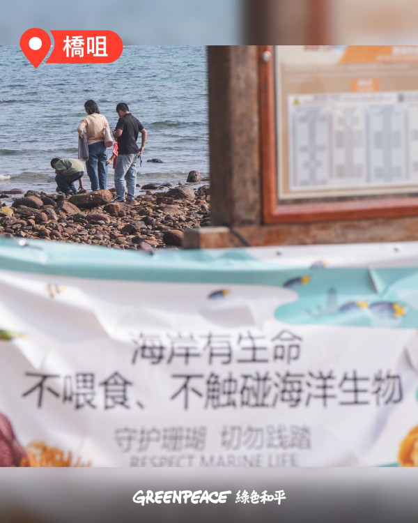 西貢淪陷？小紅書瘋傳「免費海鮮放題」即捉即食 網民笑稱造就白車經濟：搵命博