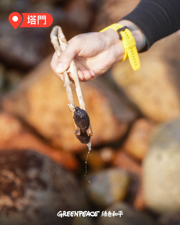 西貢淪陷？小紅書瘋傳「免費海鮮放題」即捉即食 網民笑稱造就白車經濟：搵命博