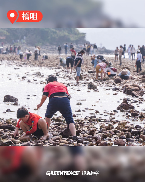 西貢淪陷？小紅書瘋傳「免費海鮮放題」即捉即食 網民笑稱造就白車經濟：搵命博