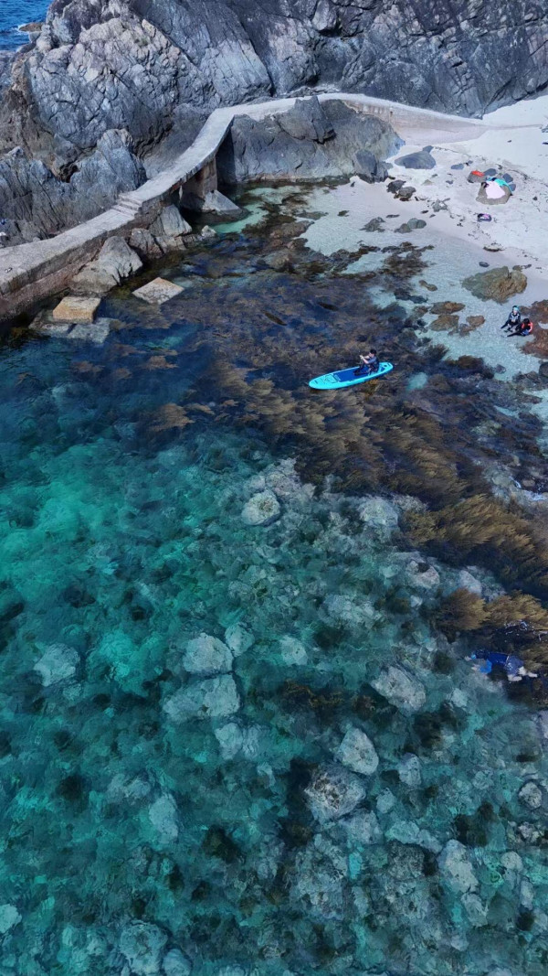 西貢淪陷？小紅書瘋傳「免費海鮮放題」即捉即食 網民笑稱造就白車經濟：搵命博