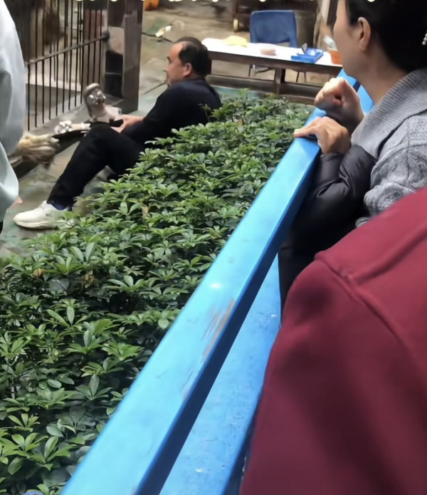 驚險 20 秒!汕頭動物園爆「獅子隔鐵籠抓人」 女童險被扯走 (圖:深圳plus@小紅書) 驚險 20 秒!汕頭動物園爆「獅子隔鐵籠抓人」 女童險被扯走 (圖:深圳plus@小紅書)