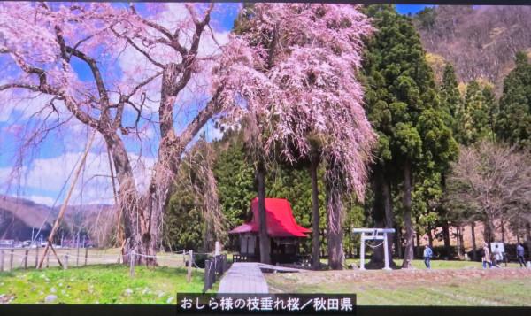 Lenovo Yoga Slim 7i Aura Edition 實測｜唔止 Copilot！全面 Smart 功能注入 手機即傳相、背後有人偷睇自動模糊螢幕？