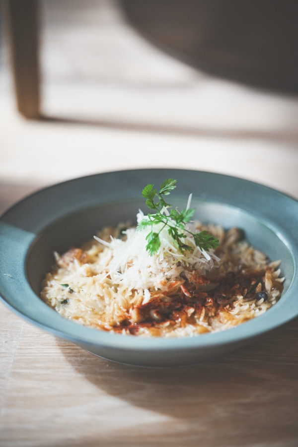 上環新派精品茶概念店全新開幕 選物/茶飲/茶食/品鑑活動/開張優惠第二杯半價