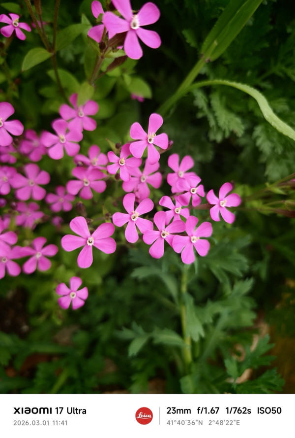 Xiaomi 17 Ultra 實測｜顛覆行動影像之作 LOFIC 加持 1 吋大底加 2 億像素長焦【附香港售價】