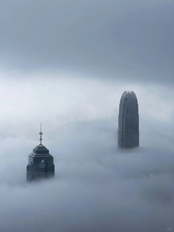 回南天殺到！太平山現「平流霧」奇觀、康城慘變重災區 網民實測1招勁過開抽濕機