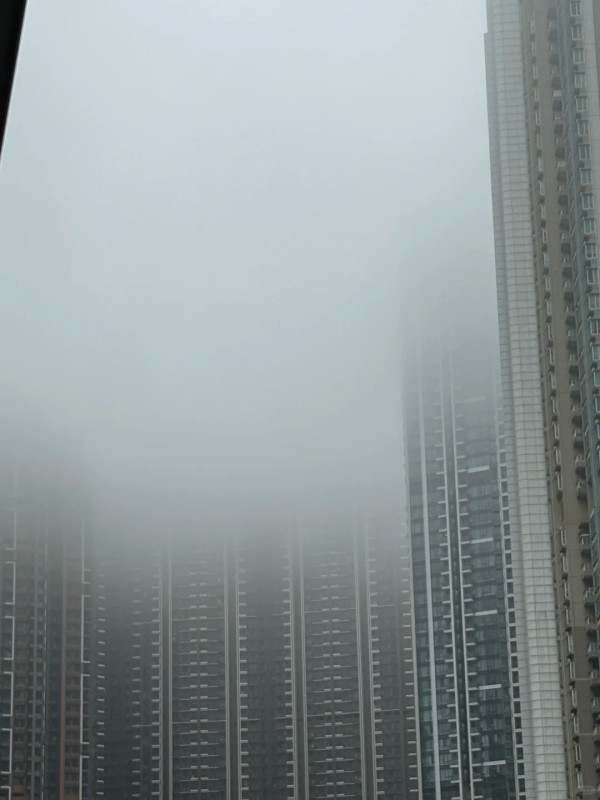 回南天殺到！太平山現「平流霧」奇觀、康城慘變重災區 網民實測1招勁過開抽濕機