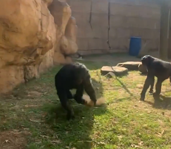 圖片來源:X @WMCActionNews5 圖片來源:X @WMCActionNews5