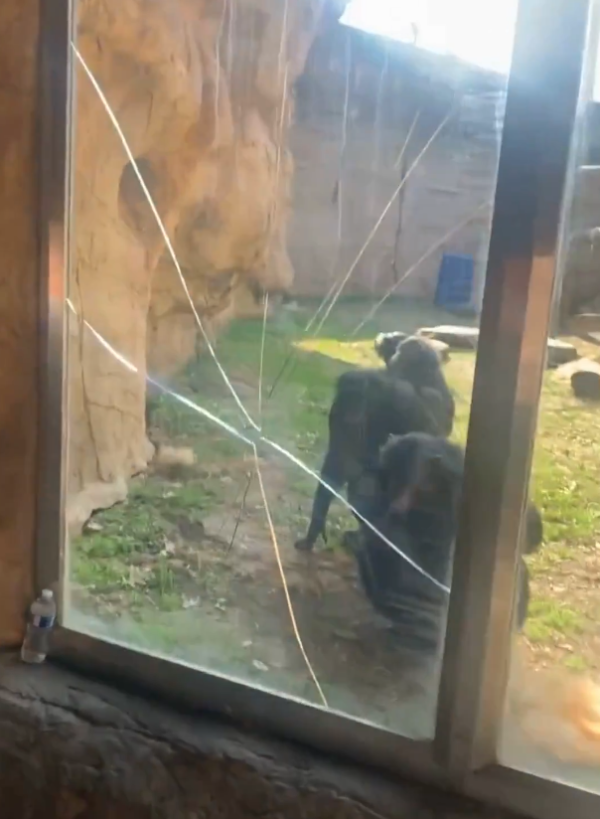 圖片來源:X @WMCActionNews5 圖片來源:X @WMCActionNews5