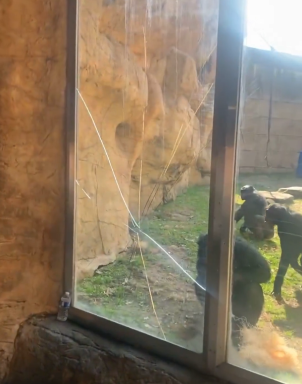 圖片來源:X @WMCActionNews5 圖片來源:X @WMCActionNews5