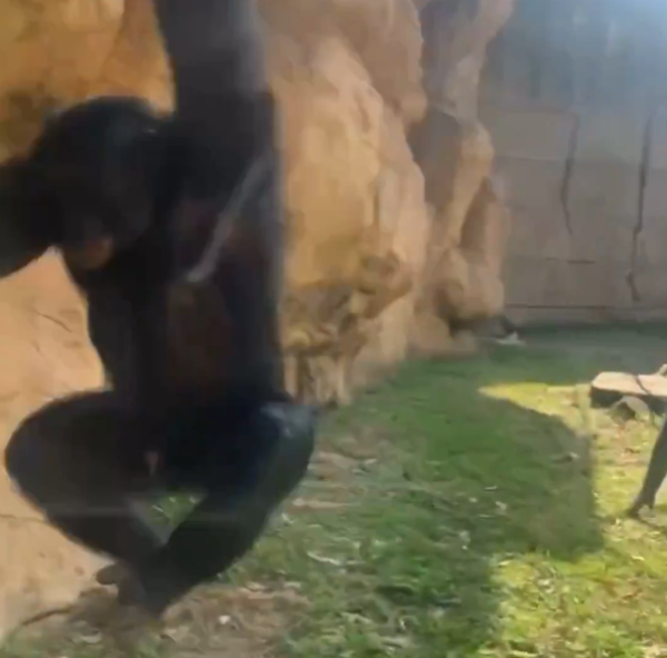 圖片來源:X @WMCActionNews5 圖片來源:X @WMCActionNews5