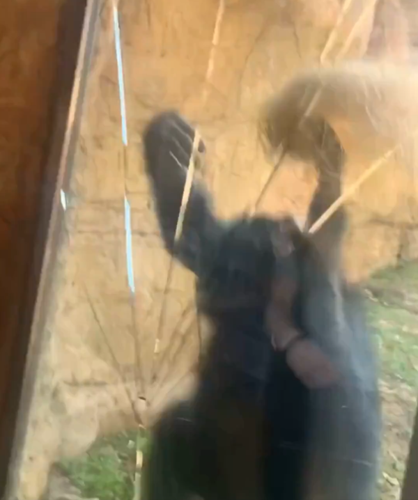 圖片來源:X @WMCActionNews5 圖片來源:X @WMCActionNews5