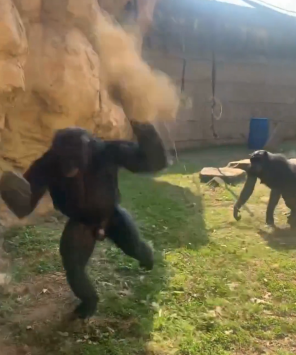 圖片來源:X @WMCActionNews5 圖片來源:X @WMCActionNews5