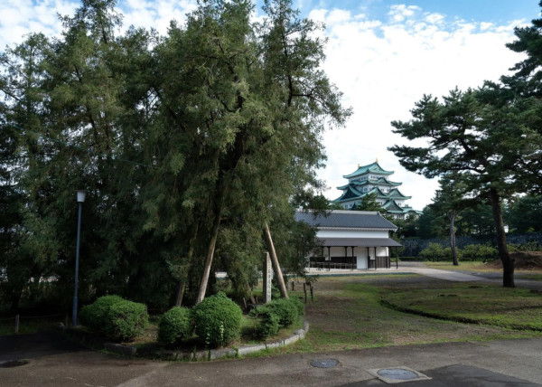 圖片來源：名古屋城