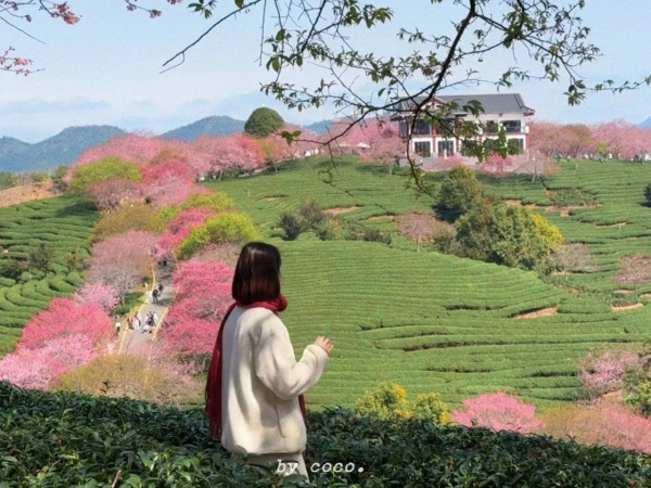 照片來源：小紅書@SWEET BOMB