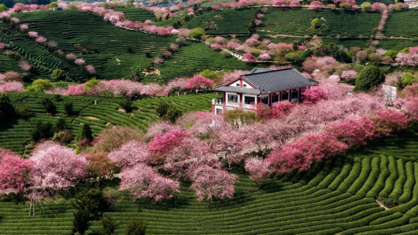 照片來源：小紅書@SWEET BOMB
