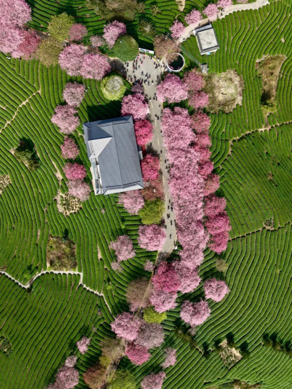 照片來源：小紅書@木子与西早