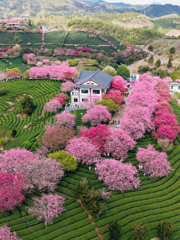 照片來源：小紅書@木子与西早