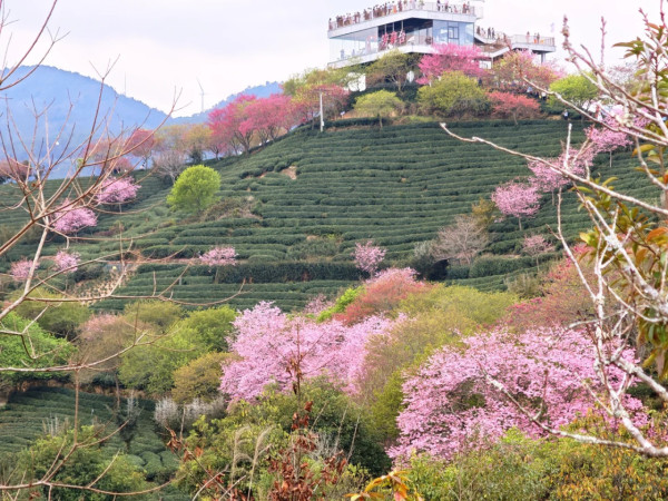 照片來源：小紅書@秘密的奇妙人生