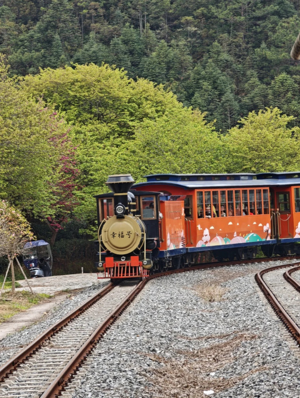 照片來源：小紅書@秘密的奇妙人生