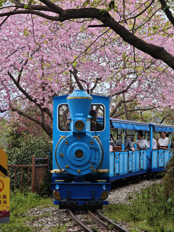 照片來源：小紅書@秘密的奇妙人生