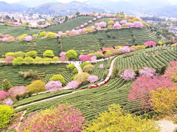 照片來源：小紅書@秘密的奇妙人生