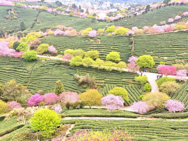 照片來源：小紅書@秘密的奇妙人生