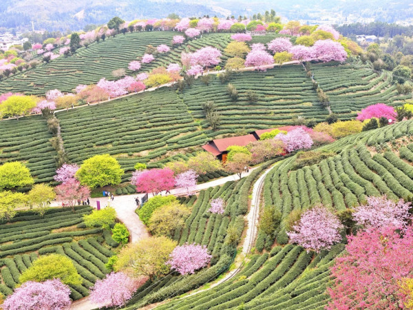 照片來源：小紅書@秘密的奇妙人生