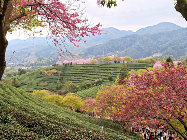 照片來源：小紅書@秘密的奇妙人生